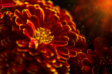 Similar image 20978443