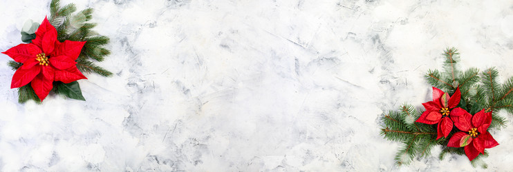 Similar image 20978490