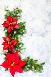 Similar image 20978492