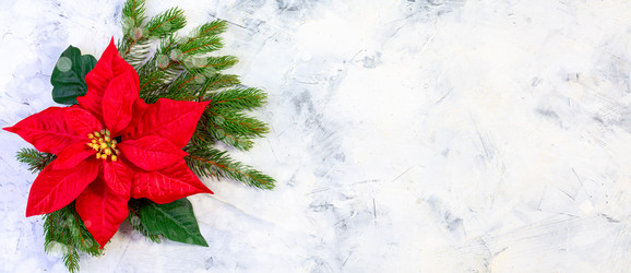 Similar image 20978537