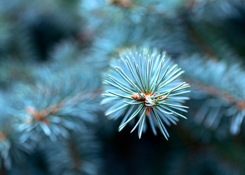 Similar image 20978538