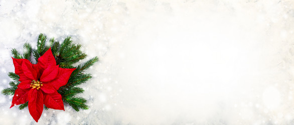 Similar image 20978558