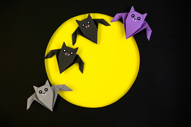 Similar image 20978560