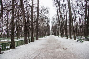 Similar image 20985483