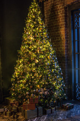 Similar image 20979318