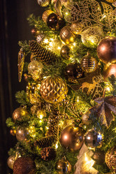 Similar image 20979321