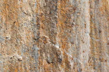 Similar image 20981550