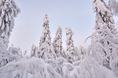 Similar image 20981554