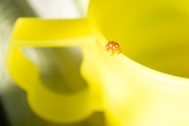 Similar image 20981558