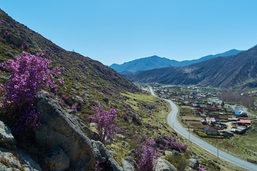 Similar image 20981566