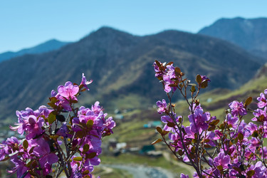 Similar image 20981569