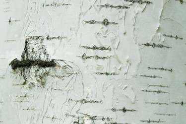 Similar image 20981570