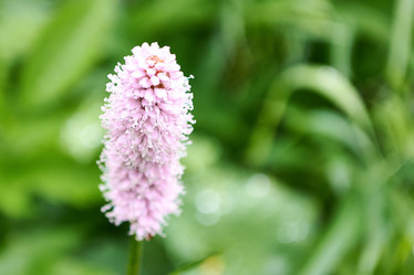 Similar image 20981573