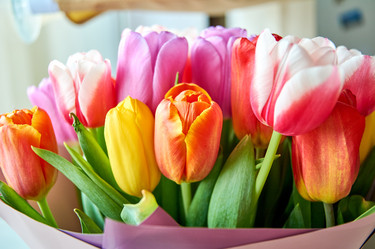 Similar image 20981702