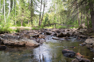 Similar image 20981585