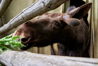 Similar image 20981592