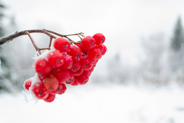 Similar image 20981597