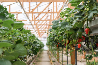 Similar image 20981104