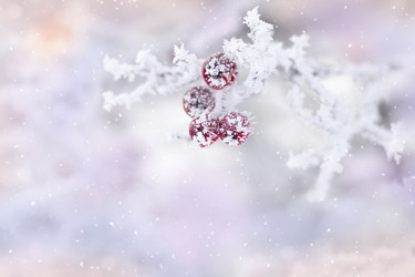 Similar image 20981603