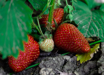 Similar image 20978577