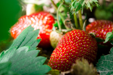 Similar image 20978633