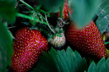 Similar image 20978634