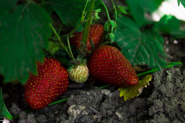 Similar image 20978635