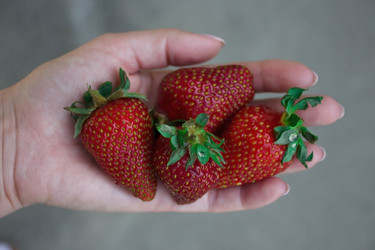 Similar image 20978636