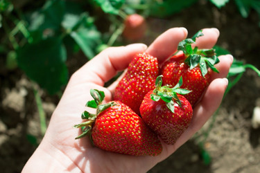 Similar image 20978578