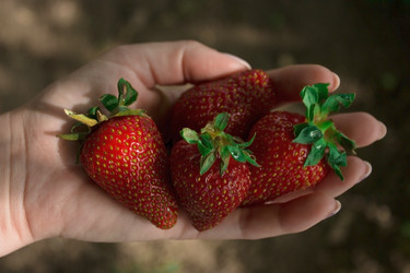 Similar image 20978579