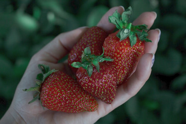 Similar image 20978580