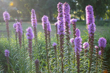 Similar image 20981714