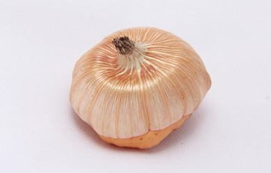 Similar image 20987188