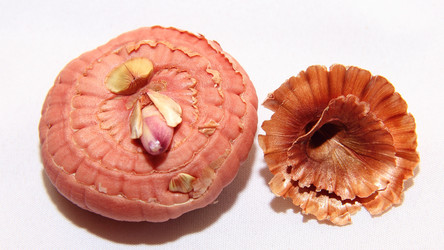 Similar image 20987189