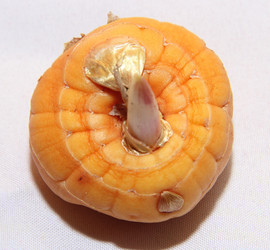 Similar image 20987190