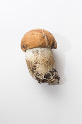 Similar image 20978393