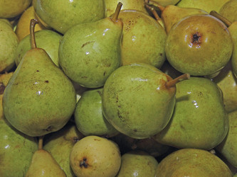 Similar image 20981250