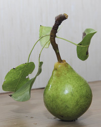 Similar image 20981251