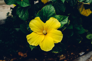 Similar image 20980701