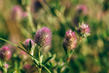 Similar image 20980781