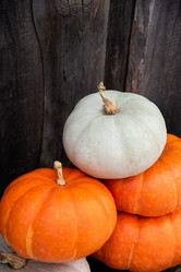 Similar image 20981111