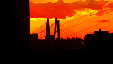 Similar image 20979331