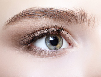 Similar image 21017921