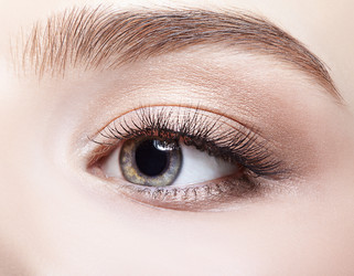 Similar image 21017923