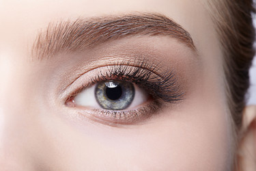 Similar image 21017958