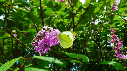 Similar image 20981270