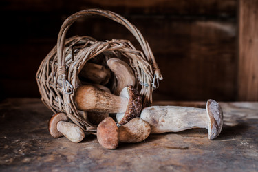 Similar image 20981353