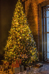 Similar image 21003419