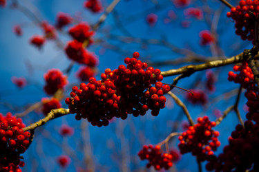 Similar image 20981277