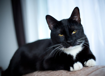 Similar image 20981279